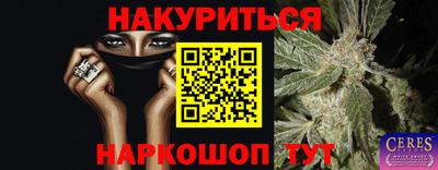индика Кандалакша