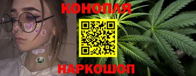 гашик Камышлов