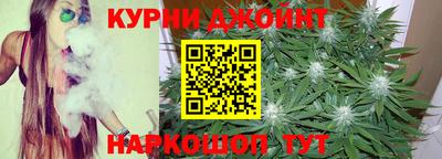 индика Кандалакша