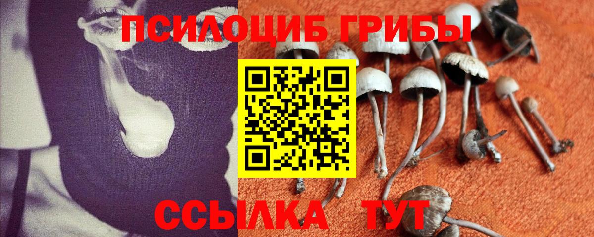 Галлюциногенные грибы GOLDEN TEACHER  Псилоцибиновые грибы мицелий  Луховицы  Вход с VPN 